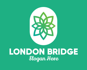 Green Lotus Flower  logo design