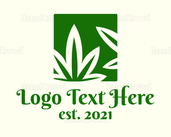 Green Cannabis Herb Logo