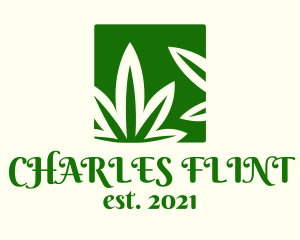 Green Cannabis Herb logo design