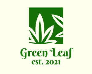 Dispensary - Green Cannabis Herb logo design