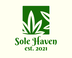 Green Cannabis Herb logo design