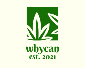Nature - Green Cannabis Herb logo design