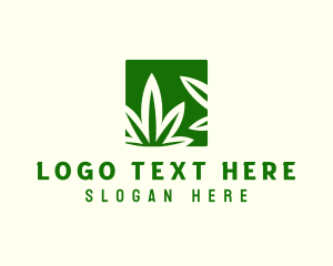 Cannabis - Green Cannabis Herb logo design