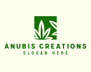 Green Cannabis Herb logo design