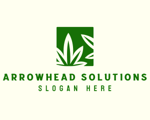 Green Cannabis Herb logo design