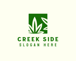 Green Cannabis Herb logo design