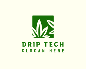 Green Cannabis Herb logo design