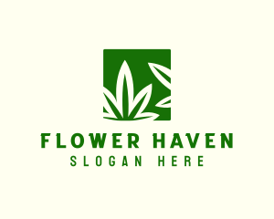 Green Cannabis Herb logo design