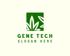 Green Cannabis Herb logo design