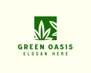 Green Cannabis Herb logo design