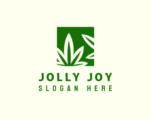 Green Cannabis Herb logo design