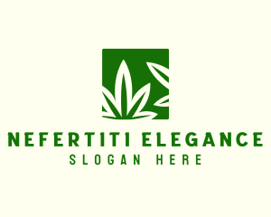 Green Cannabis Herb logo design