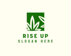 Green Cannabis Herb logo design