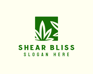 Green Cannabis Herb logo design