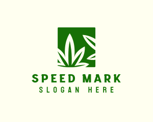 Green Cannabis Herb logo design