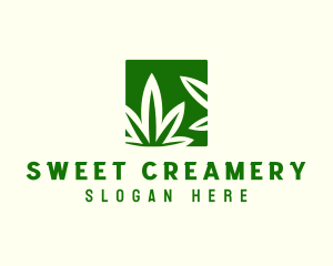 Green Cannabis Herb logo design