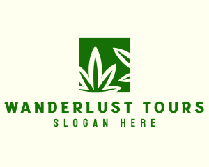 Green Cannabis Herb logo design