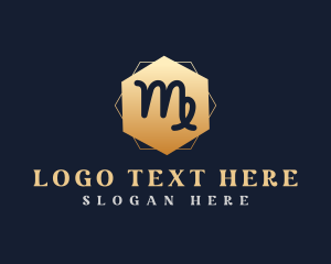 Zodiac Sign - Virgo Zodiac Sign logo design