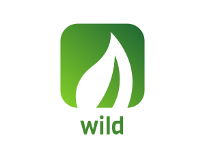 Stroke - Leaf Nature App logo design