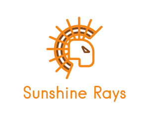 Abstract Sun Lion logo design