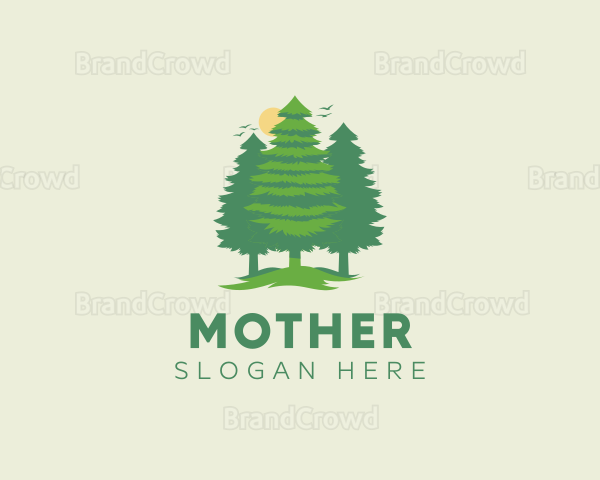 Tall Forest Tree Logo