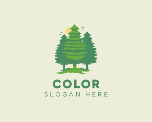 Tourism - Tall Forest Tree logo design
