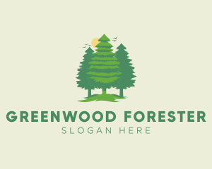 Tall Forest Tree logo design