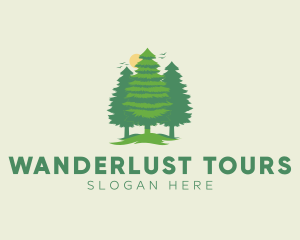 Tall Forest Tree logo design