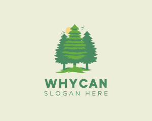 Forest - Tall Forest Tree logo design