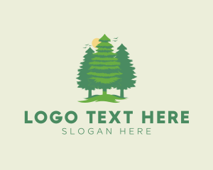 Tall Forest Tree Logo