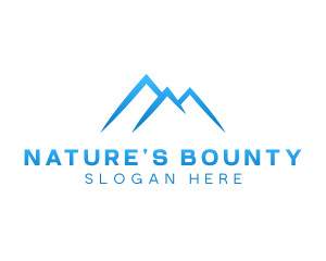 Nature Mountain Summit  logo design