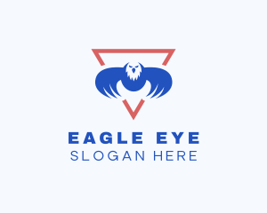 Flying Eagle Triangle logo design