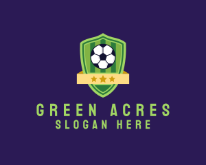 Soccer Ball Team Crest logo design