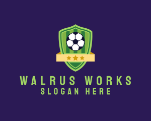 Soccer Ball Team Crest logo design