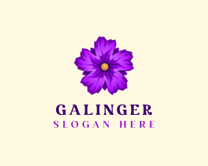 Spa - Natural Flower Bloom logo design