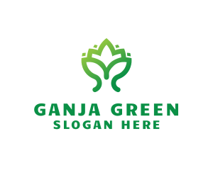 Green Lotus Plant logo design