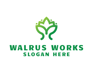 Green Lotus Plant logo design