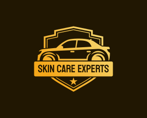 Car Care Sedan Vehicle logo design