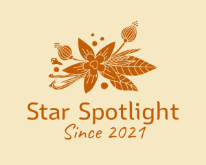 Star Anise Spices logo design