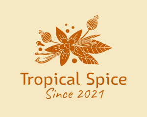 Star Anise Spices logo design