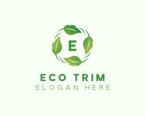 Nature Leaf  Eco logo design