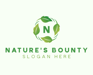 Nature Leaf  Eco logo design