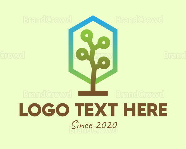 Forest Tree Plant Logo