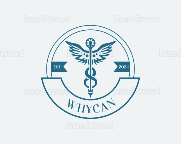 Pharmacy Medical Caduceus Logo