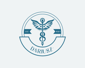 Nursing - Pharmacy Medical Caduceus logo design