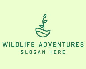 Green Natural Eco Plant logo design