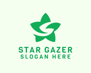 Flower Star Letter S logo design