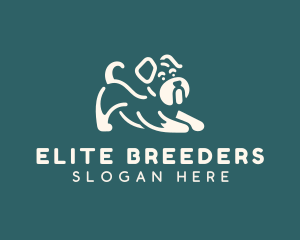 Dog Animal Shelter logo design