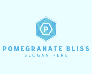 Geometric Tech Hexagon  logo design