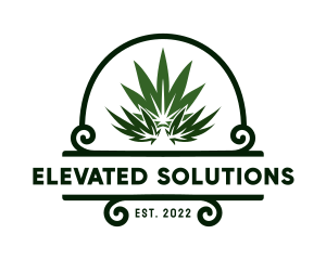 High - Organic Marijuana Plant logo design